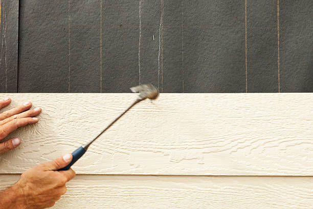 Best Custom Siding Design  in Hart, TX
